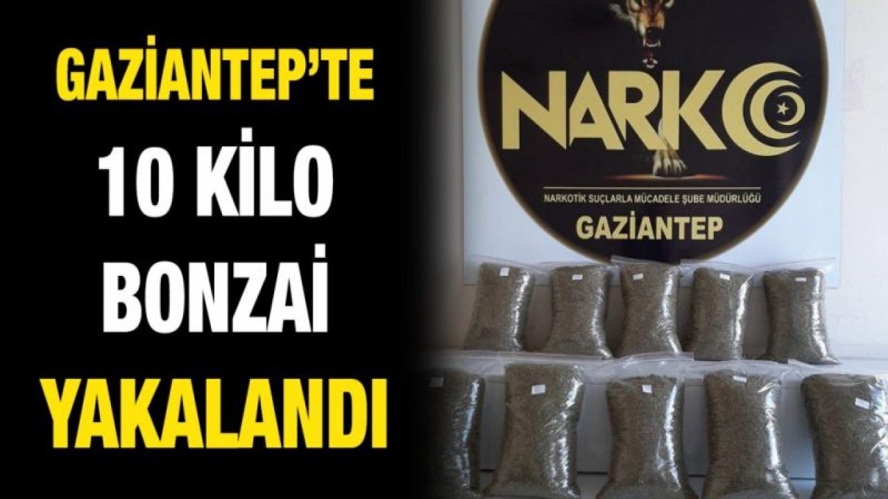 Gaziantep’te 10 kilo bonzai yakalandı