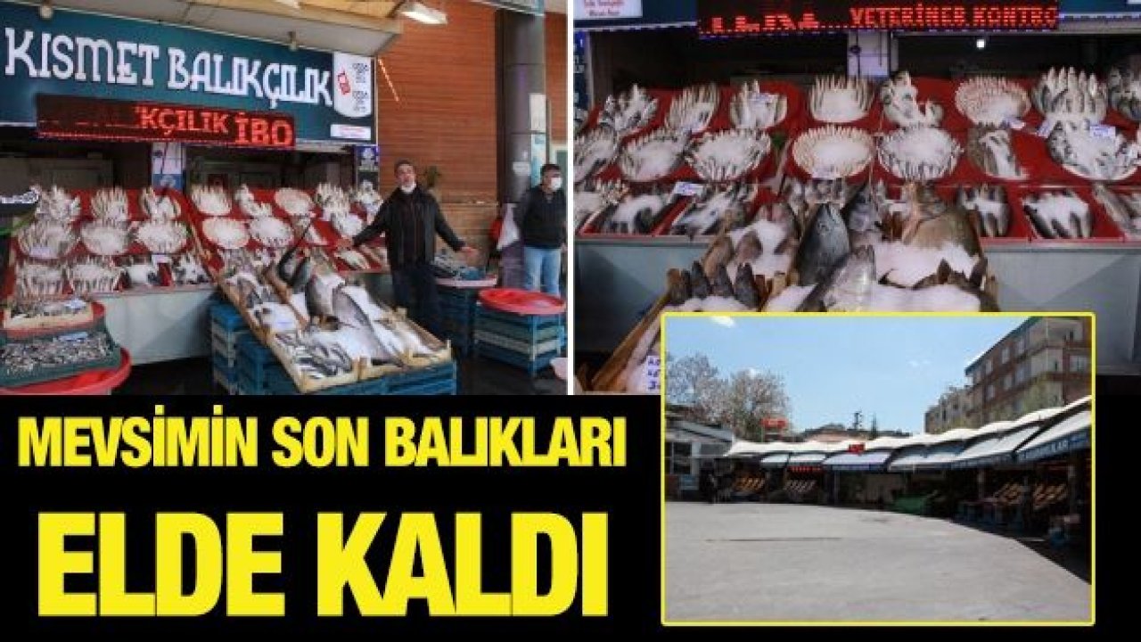 Mevsimin son balıkları elde kaldı