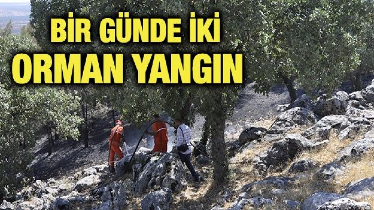 Aynı günde 2 orman yangını