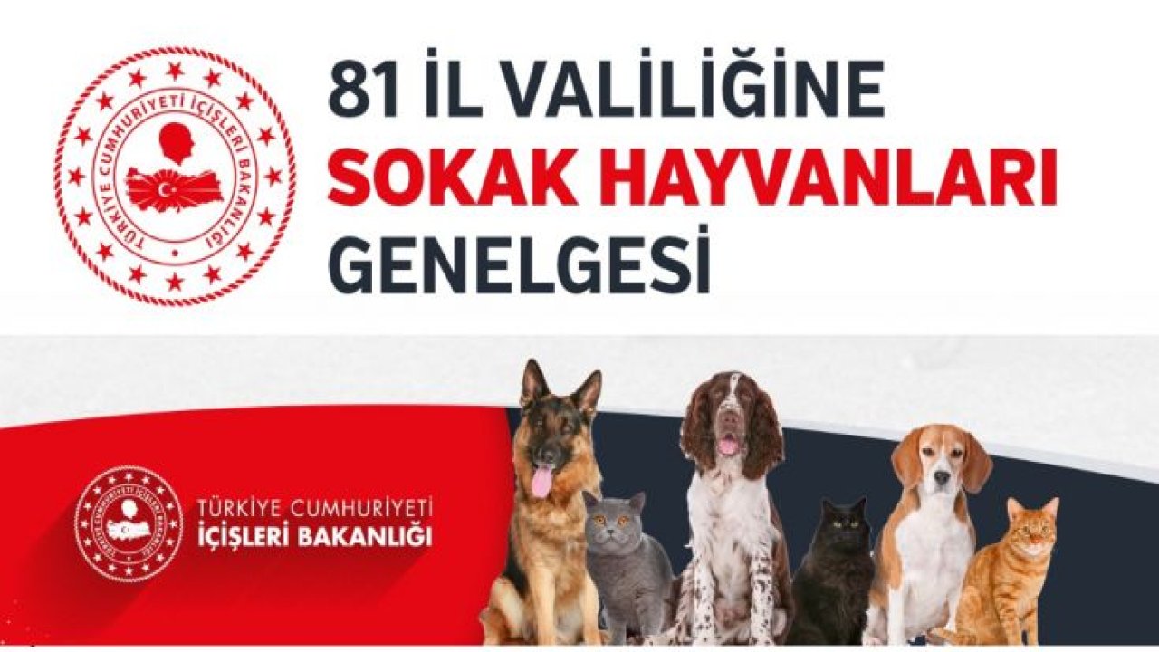 İçişleri Bakanlığı tarafından ‘‘Hayvanların Korunması’’ genelgesi yayınladı...