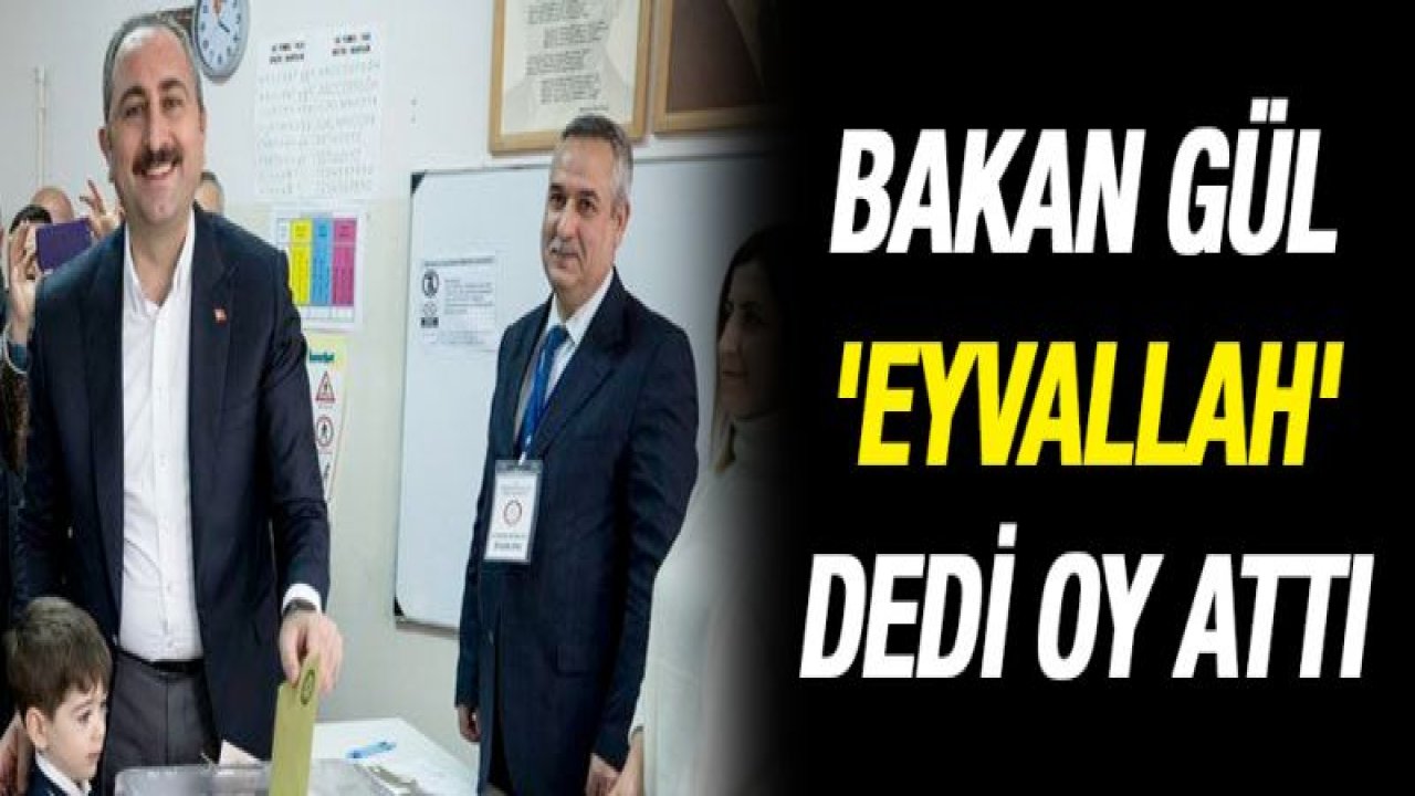 Bakan Gül 'Eyvallah' dedi oy attı