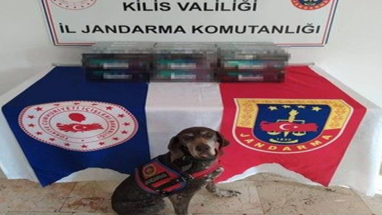 Kilis'ten Gaziantep'e getirilmek istenen kaçak sigaraya jandarma darbesi