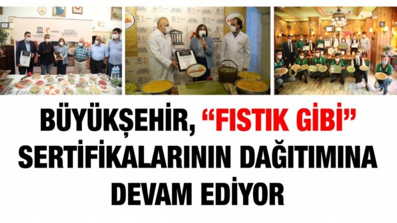 BÜYÜKŞEHİR, “FISTIK GİBİ” SERTİFİKALARININ DAĞITIMINA DEVAM EDİYOR