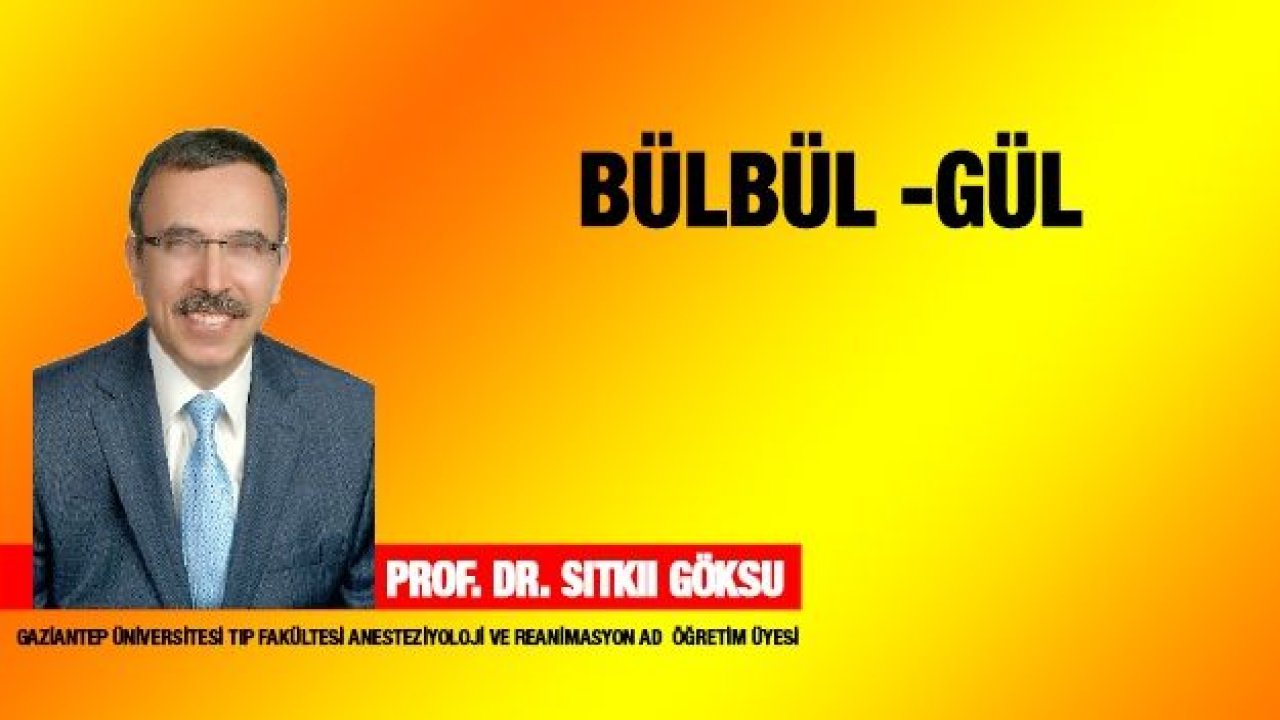 Bülbül -Gül