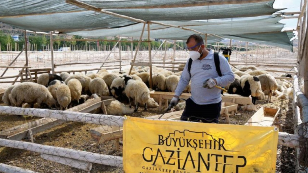 Gaziantep’te kurban bayramı tedbirleri aralıksız devam ediyor