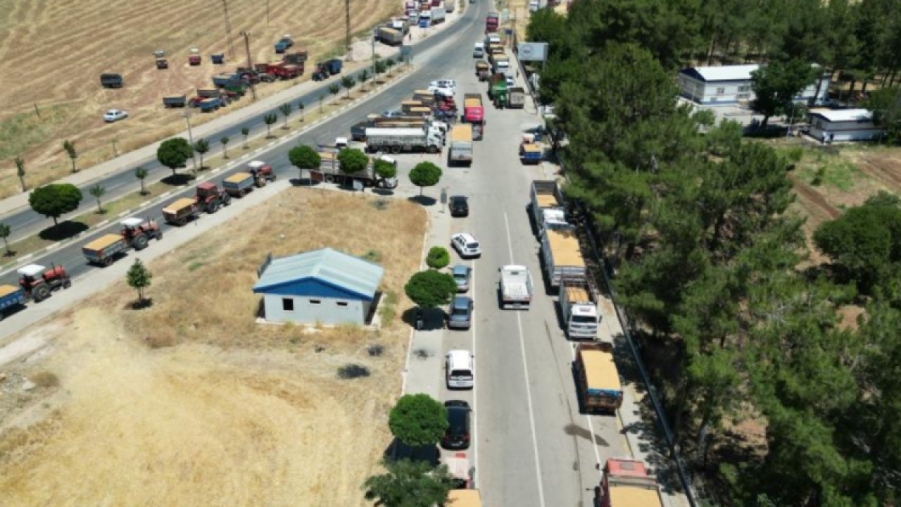 Gaziantep'te Buğday Çiftçinin yüzünü Güldürdü! Ambarlar doldu, silolarda yer kalmayınca buğdaylar eski usülle saklanmaya başlandı... VİDEO HABER