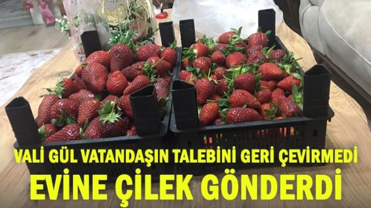 Vali Gül vatandaşın talebini geri çevirmedi: Evine çilek gönderdi