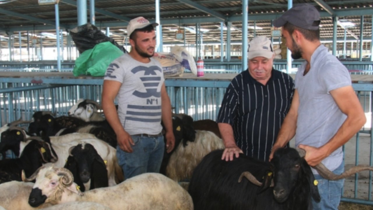 Üretici Elinde Kalan Kurbanları Satamamaktan Yakınırken! MÜJDE GELDİ