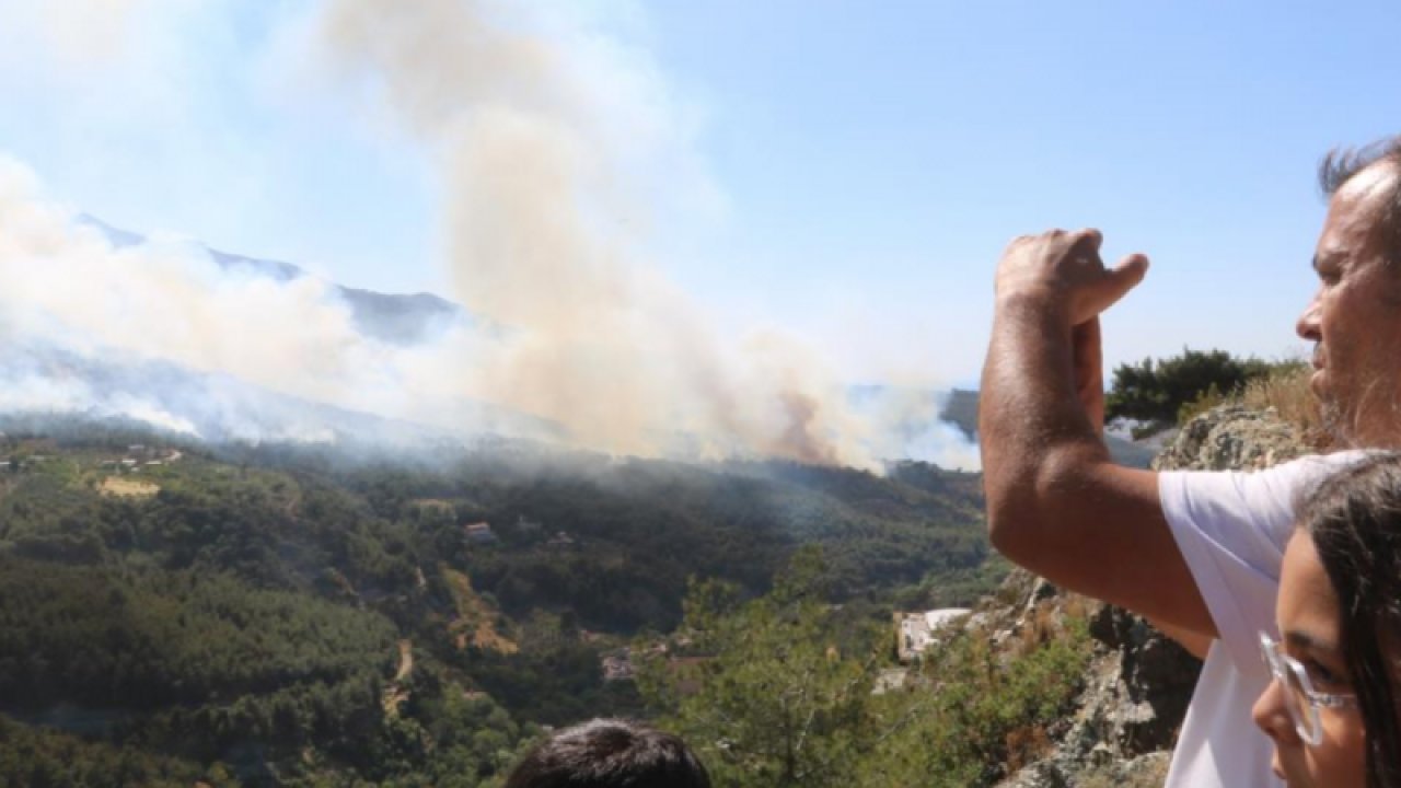 Ciğerimiz Yanıyor! Hatay’daki orman yangınına müdahale sürüyor! Bölge halkı çalışmaları çaresizlik içerisinde izliyor. Çevre İllerden Destek İstenildi