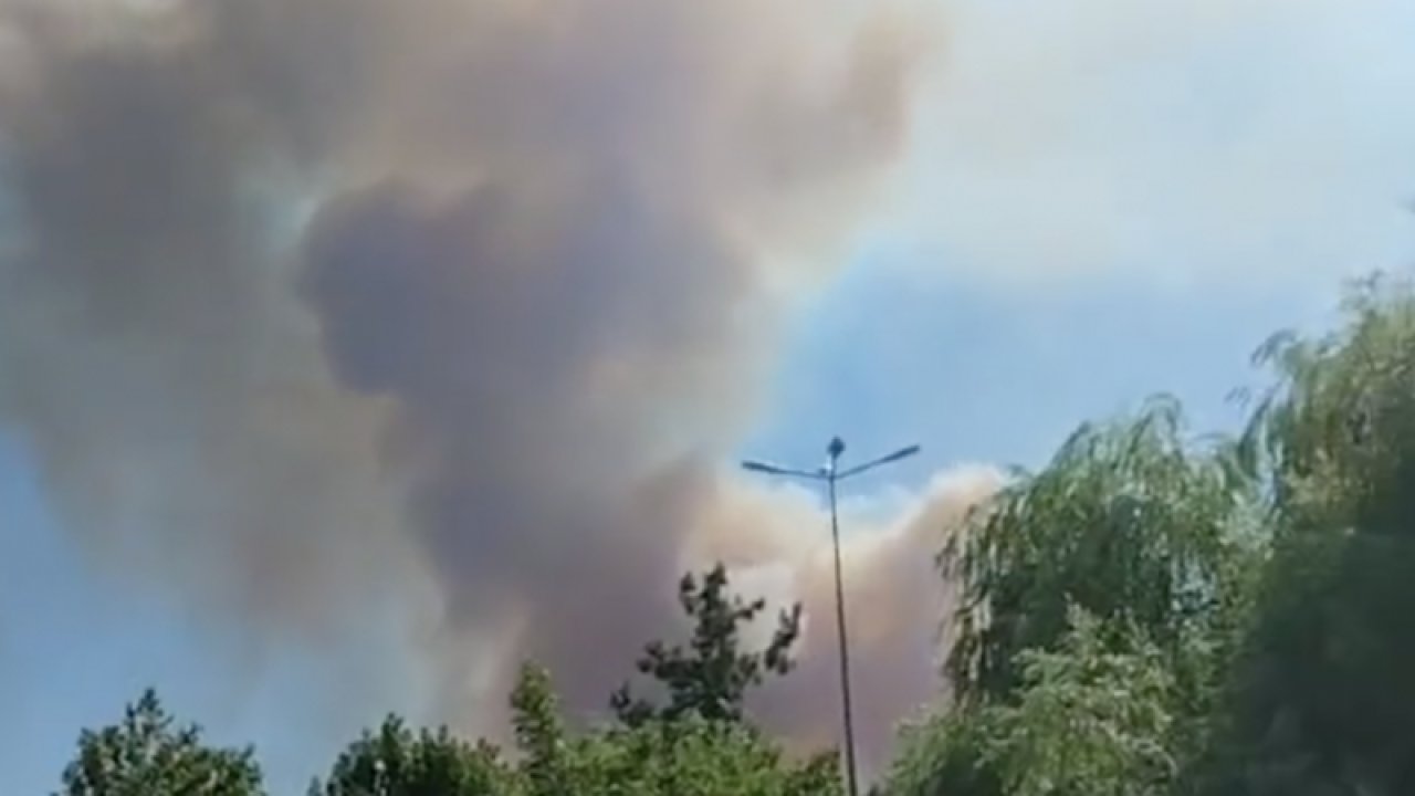 Gaziantep Durmuşlar köyü mevkiinde orman yangını