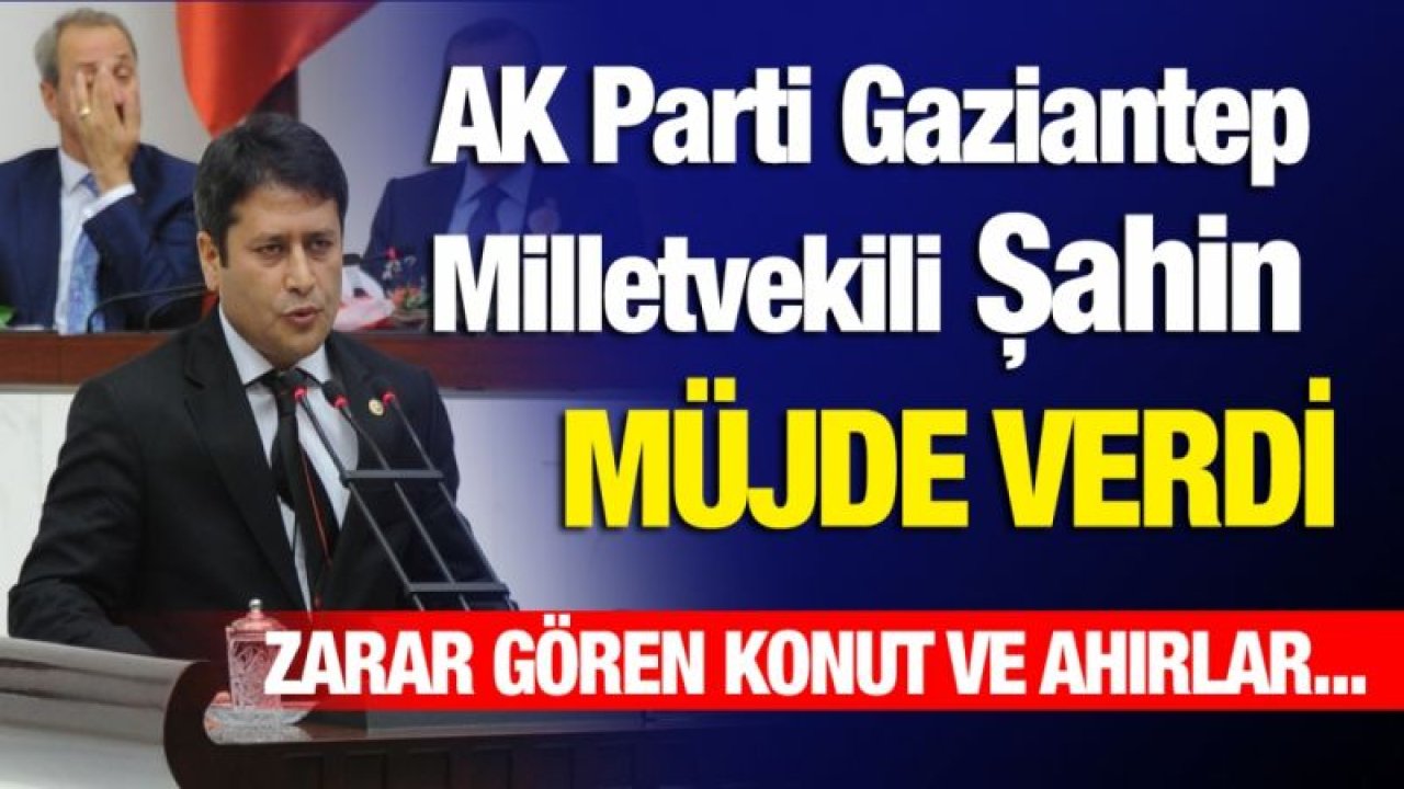 Şahin duyurdu: Zarar gören konut ve ahırlar...