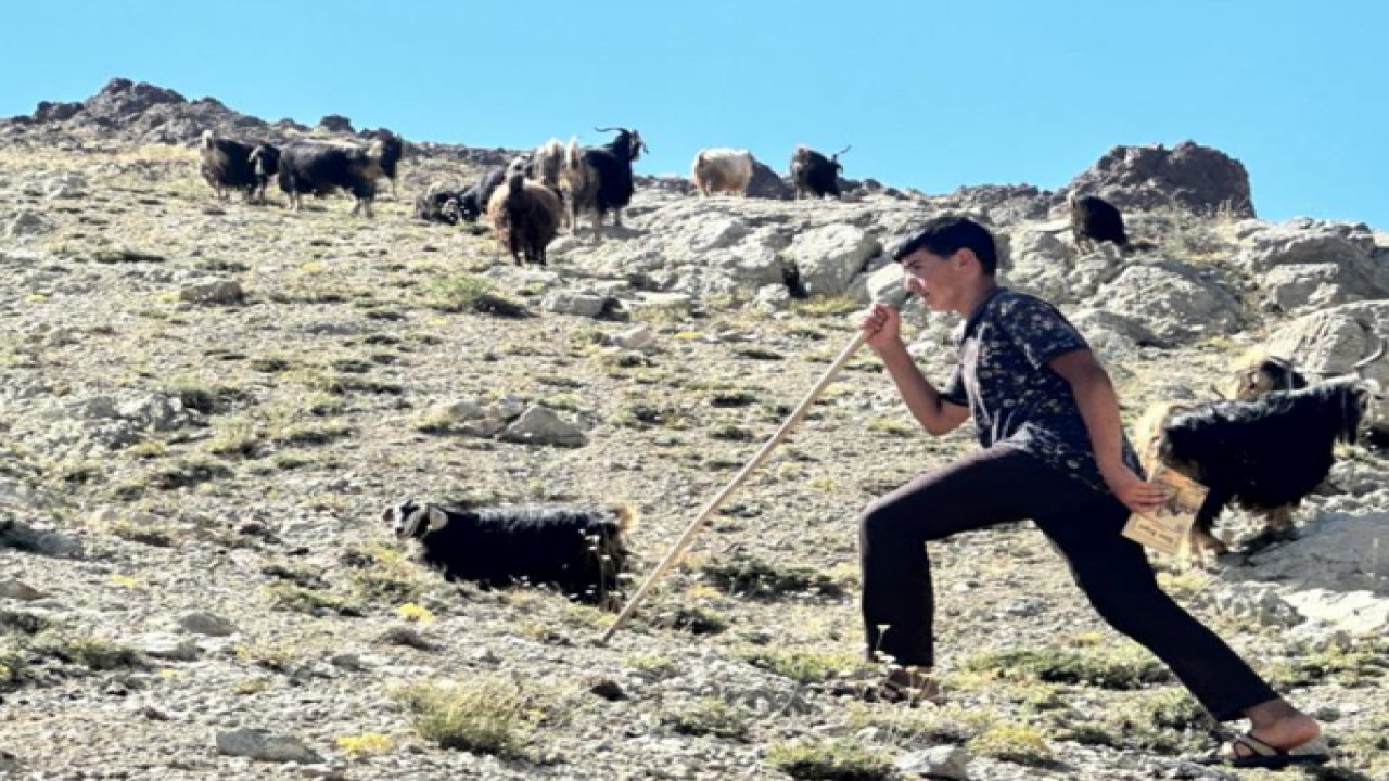 Yaylada çobanlık yapan Muhammet, LGS’de Türkiye ikincisi oldu