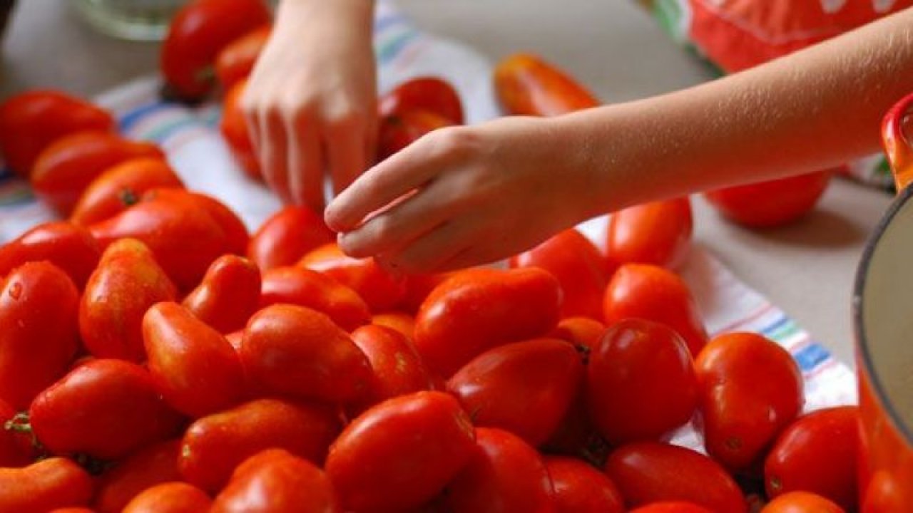 Çürüyen domatesler öyle bir işe yarıyormuş ki! Bunları öğrendikten sonra çürümüş domatesleri asla atmayacaksınız