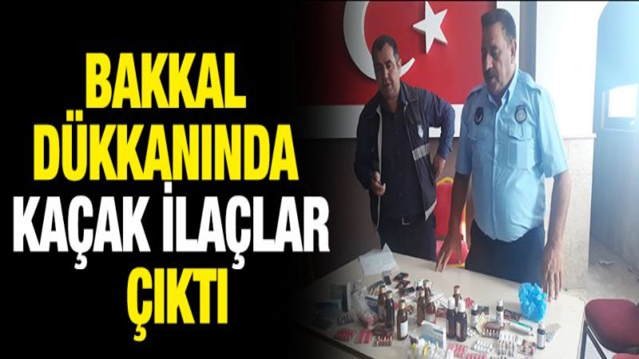 Bakkal dükkanında kaçak ilaçlar çıktı