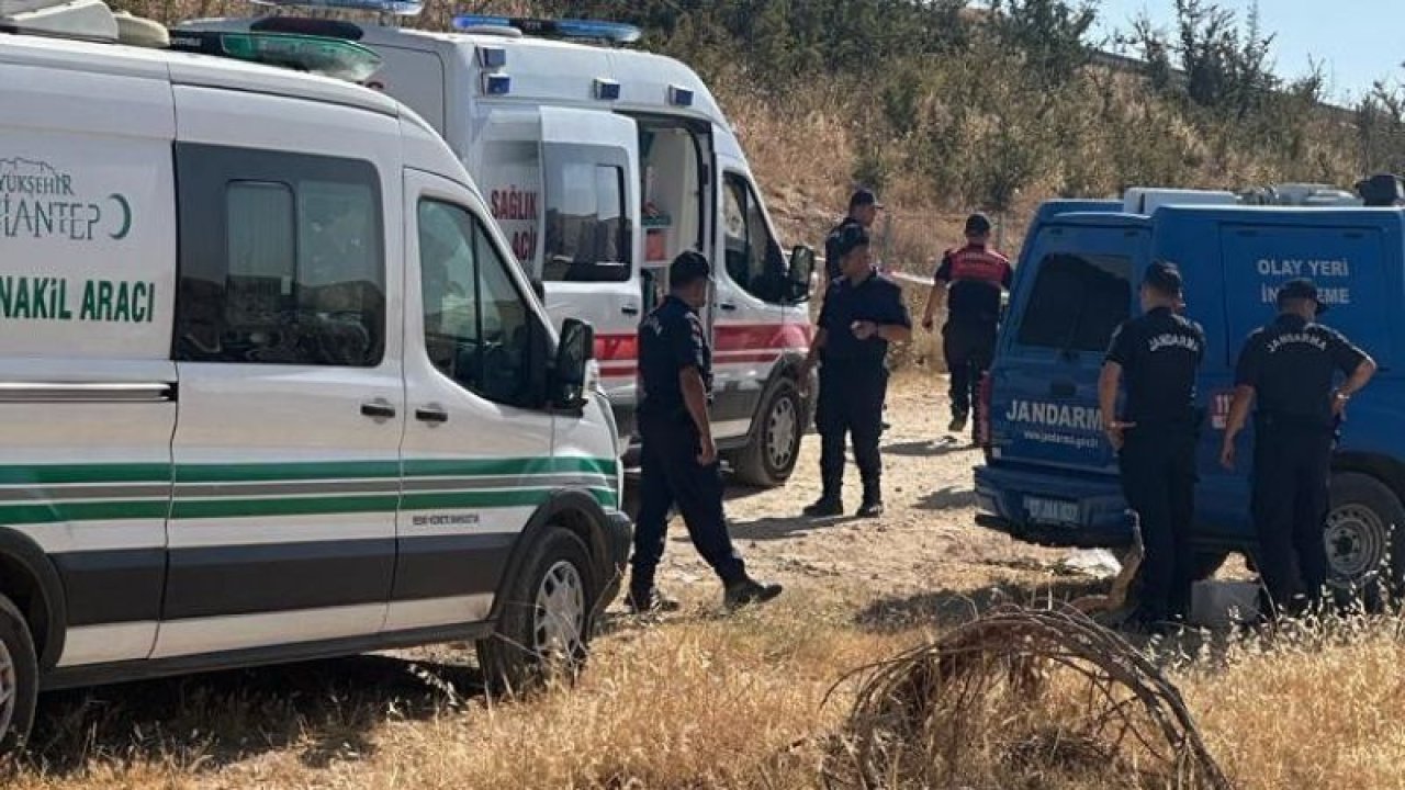 Gaziantep’te vahşet! Köpekler vijdansızların terk ettiği bebeği parçaladı