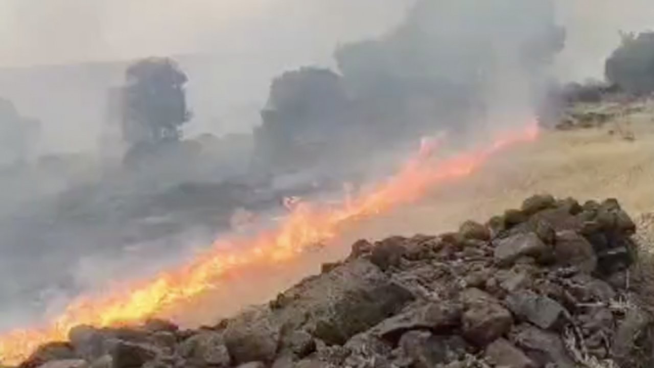 Gaziantep'in Yavuzeli ilçesi Halilbaş köyünde yangın çıktı