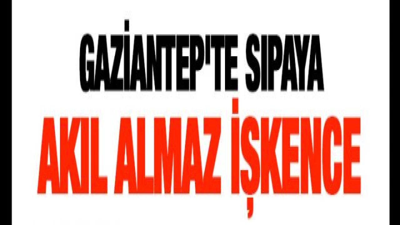 Gaziantep'te sıpaya akıl almaz işkence