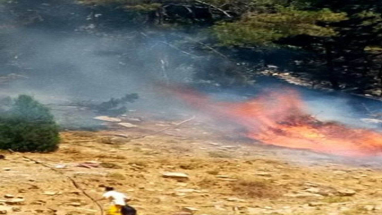 Kahramanmaraş’taki orman yangını iki noktada devam ediyor