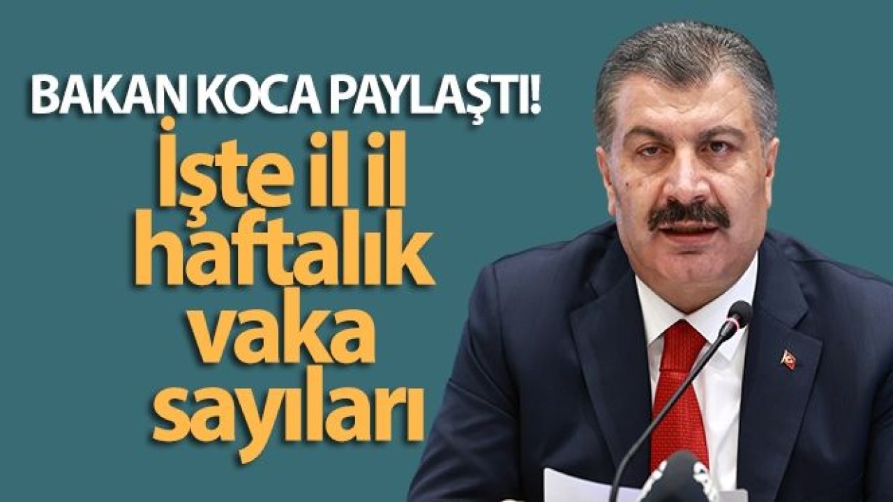 Bakan Koca paylaştı! İşte il il haftalık vaka sayıları