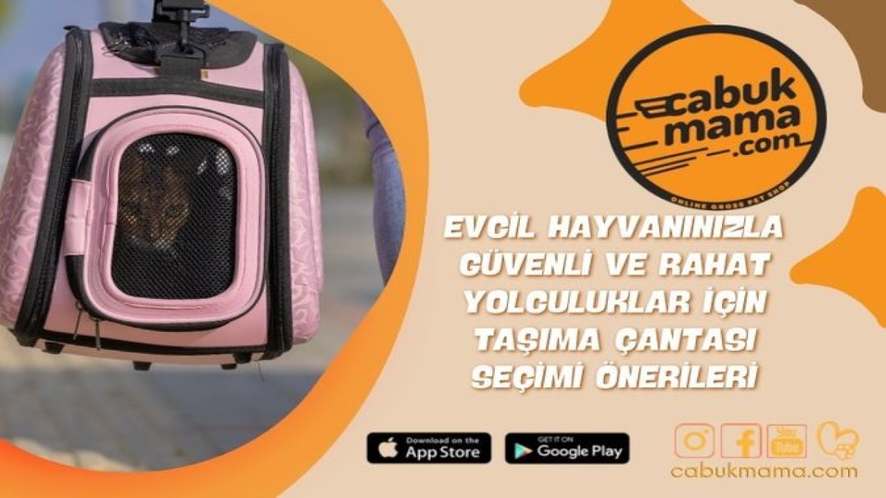 Evcil Hayvanınızla Güvenli ve Rahat Yolculuklar İçin Taşıma Çantası Seçimi Öneriler