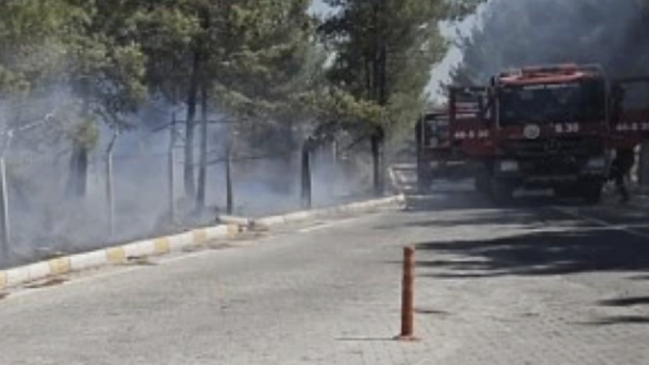 Gaziantep Erikçe ormanında korkutan yangın