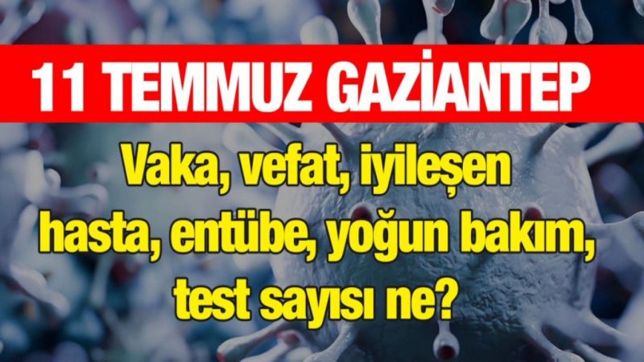 11 Temmuz Gaziantep vaka, vefat, iyileşen hasta, entübe, yoğun bakım, test sayısı ne?