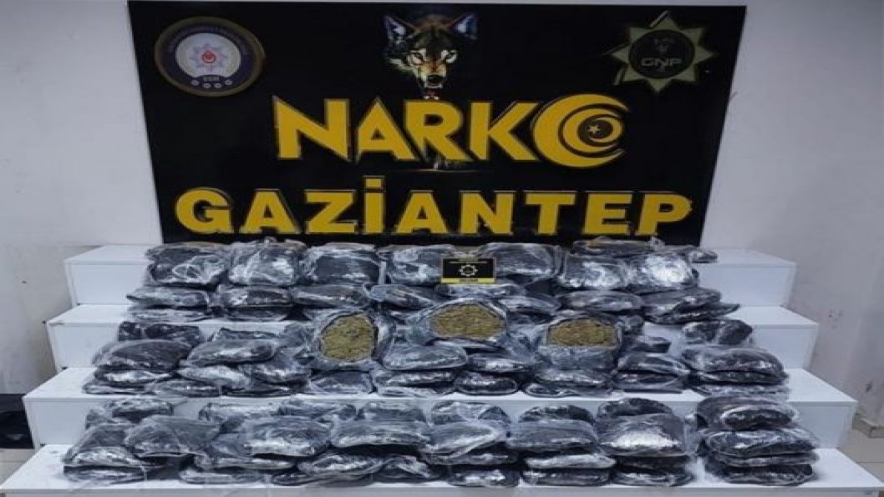 Gaziantep'te Narkotik Ekiplerinden Operasyon! Gaziantep’te 51 kilo skunk ele geçirildi