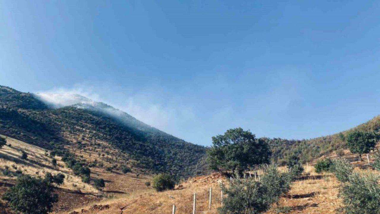 Kahramanmaraş’taki orman yangınına müdahale sürüyor