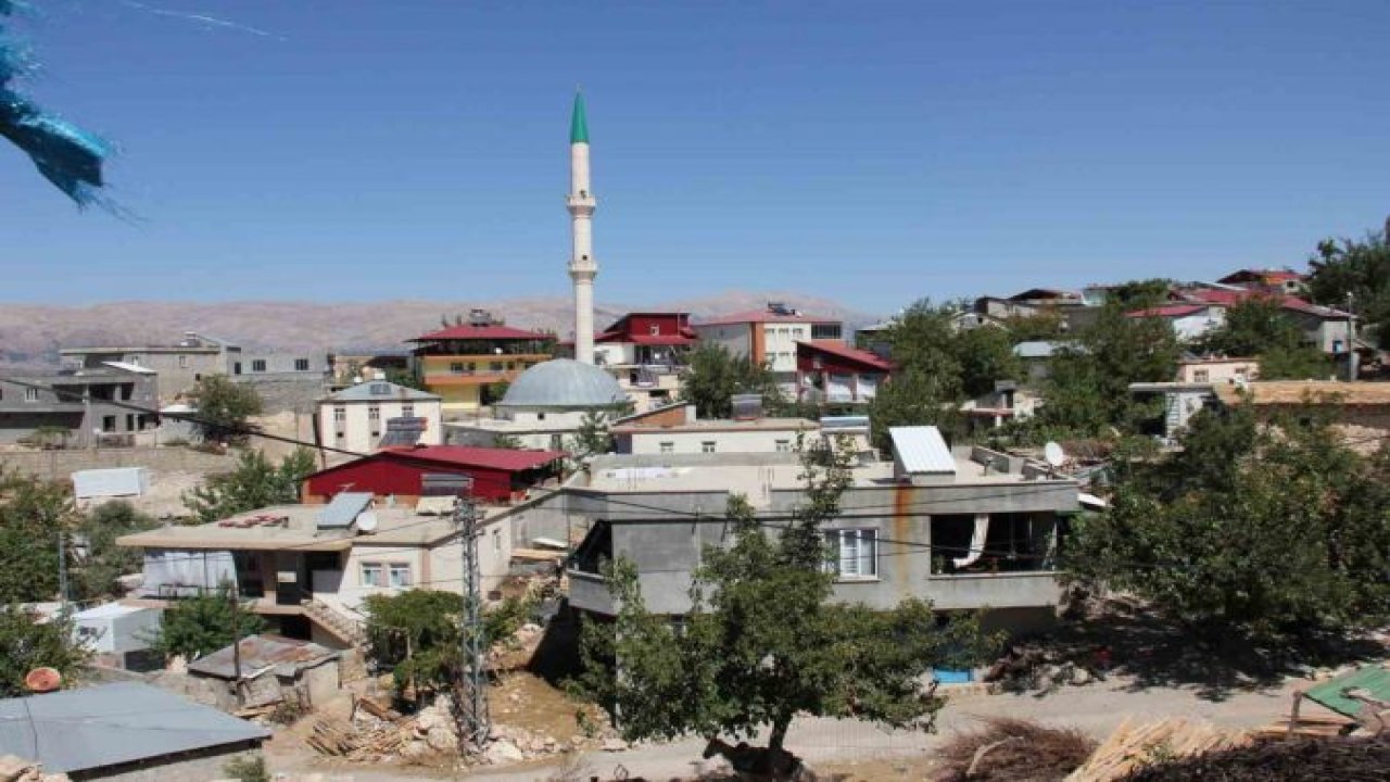 Kuduz Vakkası! Köy karantinaya alındı